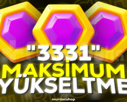 Başkent Maxlama 3331 basım