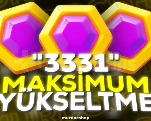 Başkent Maxlama 3331 basım