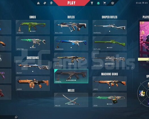 DİA ELO +70 SKİN