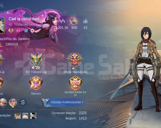 Mikasa li smurf