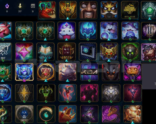 S6 SUPPORT MAIN DIA SIMGELI MAINLIK LOL HESABI