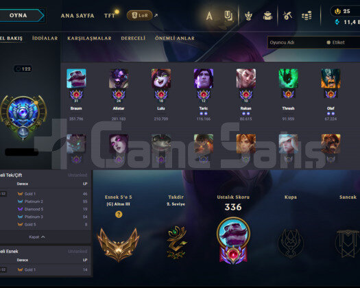 S6 SUPPORT MAIN DIA SIMGELI MAINLIK LOL HESABI
