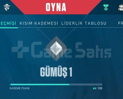 TR SUNUCULU GÜMÜŞ 1 VALORANT HESAP