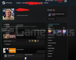 STEAM 94 OYUNLU BOL DLCLI HESAP