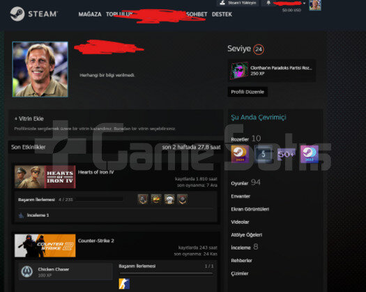 STEAM 94 OYUNLU BOL DLCLI HESAP