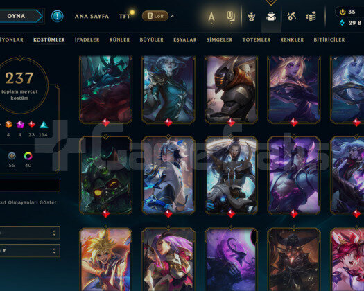 417 LEVEL / 237 SKİN / FUL HERO +MAİL +PAX SİVİR