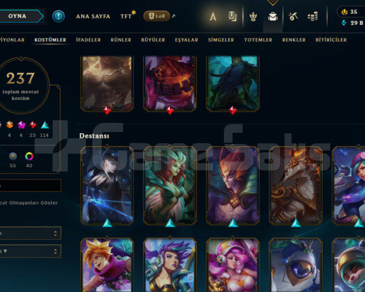 417 LEVEL / 237 SKİN / FUL HERO +MAİL +PAX SİVİR