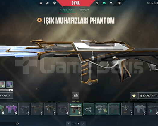 25 SKIN3 VANDALLI DOLU HESAP