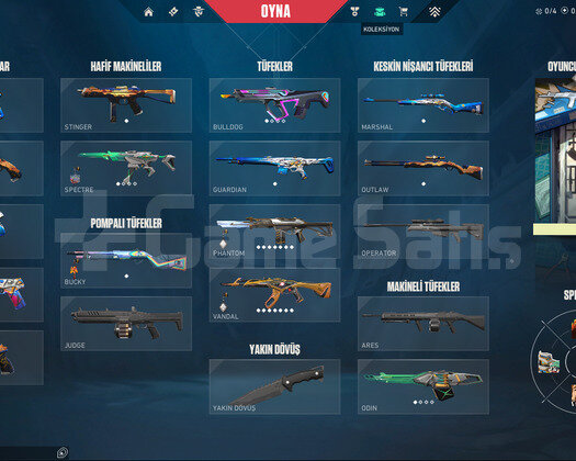 25 SKIN3 VANDALLI DOLU HESAP