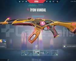 25 SKIN3 VANDALLI DOLU HESAP
