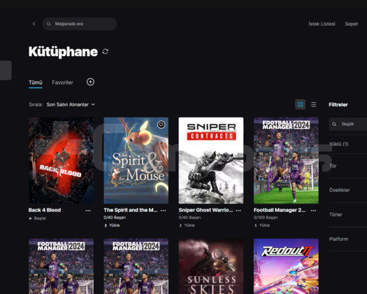 116 Oyun Kütüphaneli Epic Games Hesabı