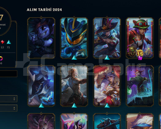 TR DİA 2 UCUZ HESAP