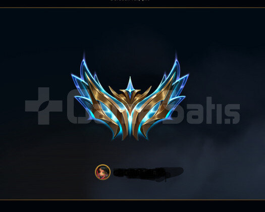 Platin 2 - Zümrüt 4 duoboost OZEL ILANI