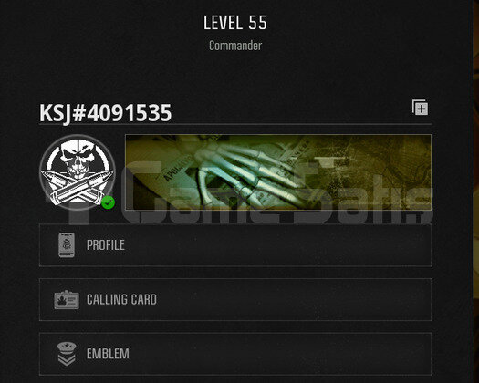 25 Dark Matter Camo Warzone hasabı