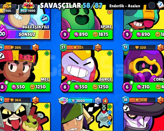 Bol skinli  uygun hesap 17k