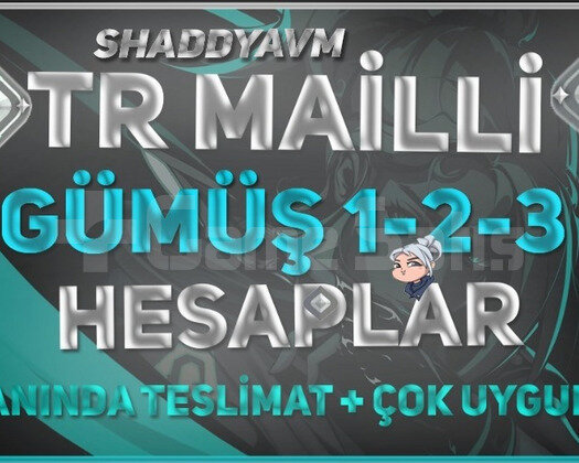 MAİL DEĞİŞEN - SİLVER HESAPLAR - TR ANINDA TESLİM