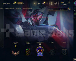 EUW 36LEVEL HANDMADE MAİLLİ FRESH 3 SKİNLİ HESAP!!
