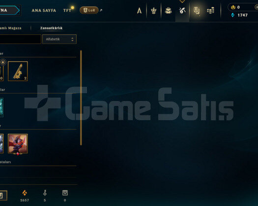 TR HANDMADE UNRANKED 3 KOSTÜM