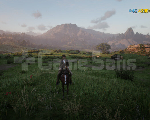 RDR 2 94 LVL 2004 GOLD 200K ONLİNE +İLK MAİL