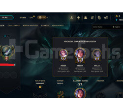 TR UNRANKED HANDMADE HESAP