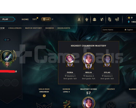 TR UNRANKED HANDMADE HESAP