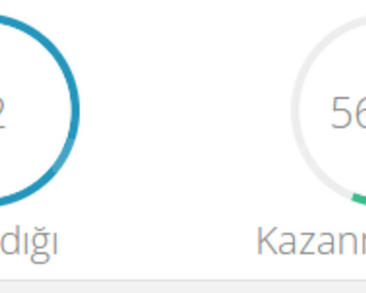 EUW PLATİNUM 4 +30K MAVİ ÖZLÜ HESAP +30 LP GAİN