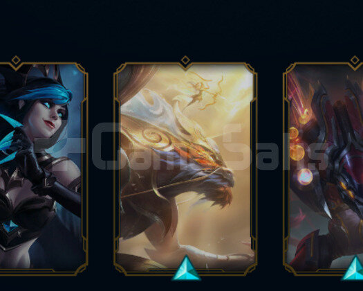 TR 49 LVL 5 SKIN EMEK HESAP