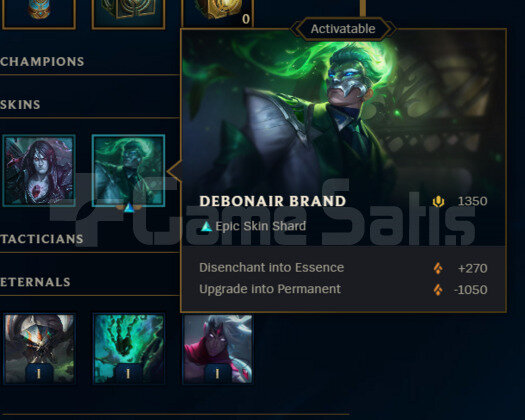 TR 49 LVL 5 SKIN EMEK HESAP