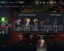 TR 49 LVL 5 SKIN EMEK HESAP