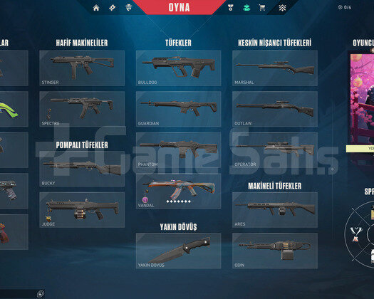 SMURFLUK ASİL VANDALLI ACC!