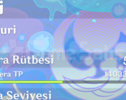 AR 52 | Neuvilette + BiS | Hu tao + BiS | Rate-up