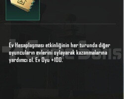 300 ev oyu hızlı teslimat