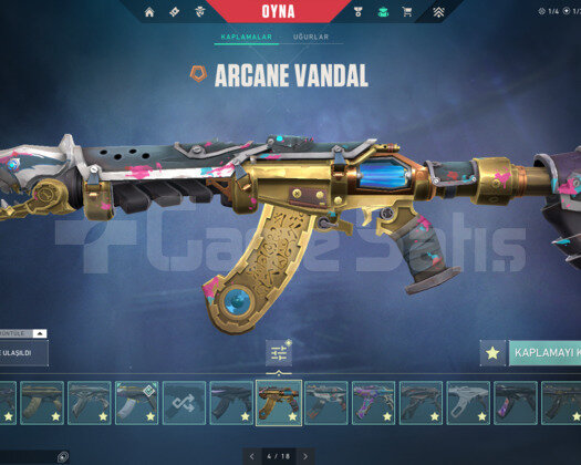 16 VANDALLI 11 BIÇAKLI MAİNLİK ACC!