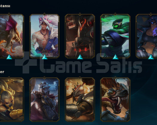 TR HANDMADE GANIMETLE BERABER 17 SKINLI LOL HESABI