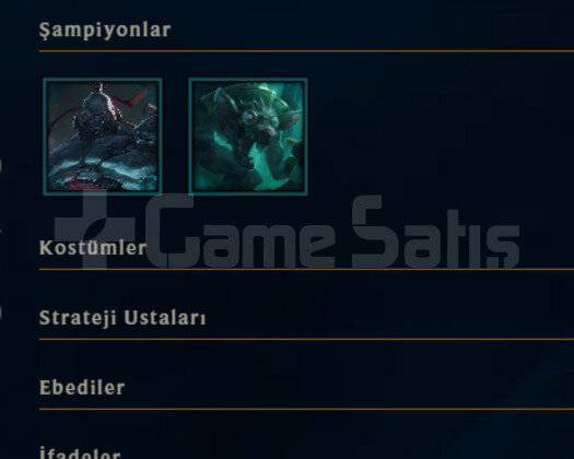 TR 2023 DIA YUKSEK MMR 15 SKIN LOL HESABI