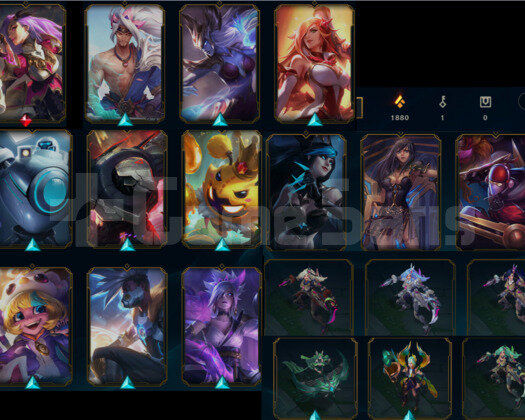 2 IHTISAMLI 20 SAĞLAM SKİNLİ HANDMADE YUKSEK MMR