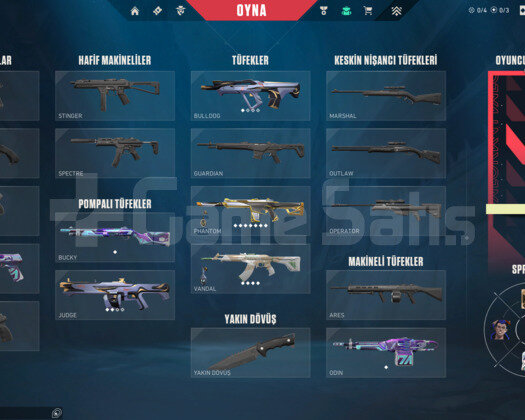 ÖLÜ FİYATA ASİL PHANTOMLU SILVER2 SMURF HESAP