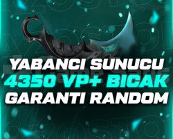 YABANCI SUNUCU 4350+VP BIÇAK GARANTİLİ RANDOM HE