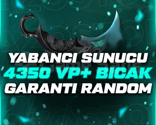 YABANCI SUNUCU 4350+VP BIÇAK GARANTİLİ RANDOM HE
