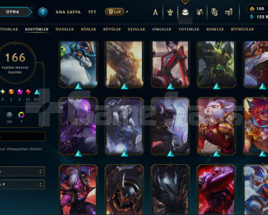 410 LEVEL / 166 SKİN / FUL HERO +MAİL +TELEFON