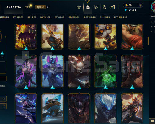531 LEVEL / 135 SKİN / FUL HERO +MAİL +ZÜMRÜT