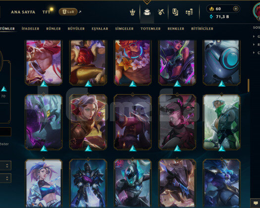 531 LEVEL / 135 SKİN / FUL HERO +MAİL +ZÜMRÜT