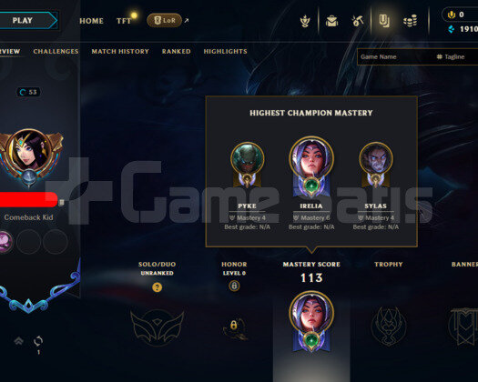 TR HANDMADE UNRANKED 53 LEVEL HESAP