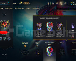 TR HANDMADE UNRANKED BOL SKINLI HESAP