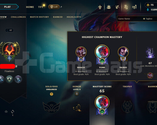 TR HANDMADE UNRANKED BOL SKINLI HESAP
