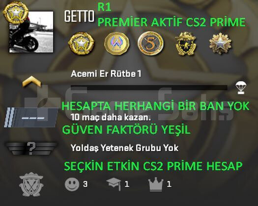 CS2 Prime | 5 Madalya | Yeşil Faktör + Garanti