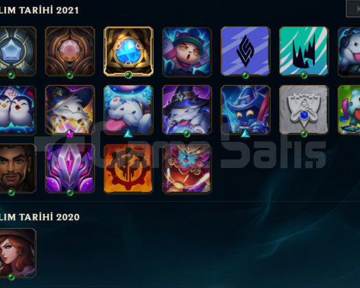 TR HANDMADE 46 LVL LOL HESABI