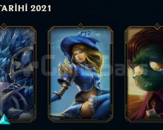 TR HANDMADE 46 LVL LOL HESABI