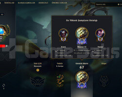 TR HANDMADE 46 LVL LOL HESABI