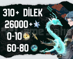 EU | UL30 310+ Dilek - 26000 Astrite 60-80/0-10